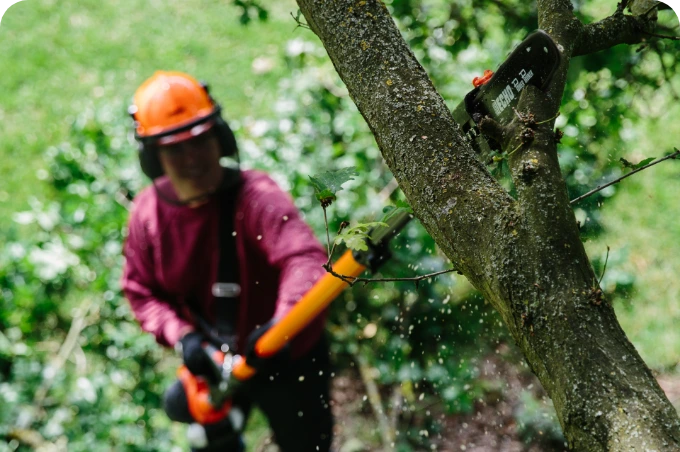ECHO power pruners