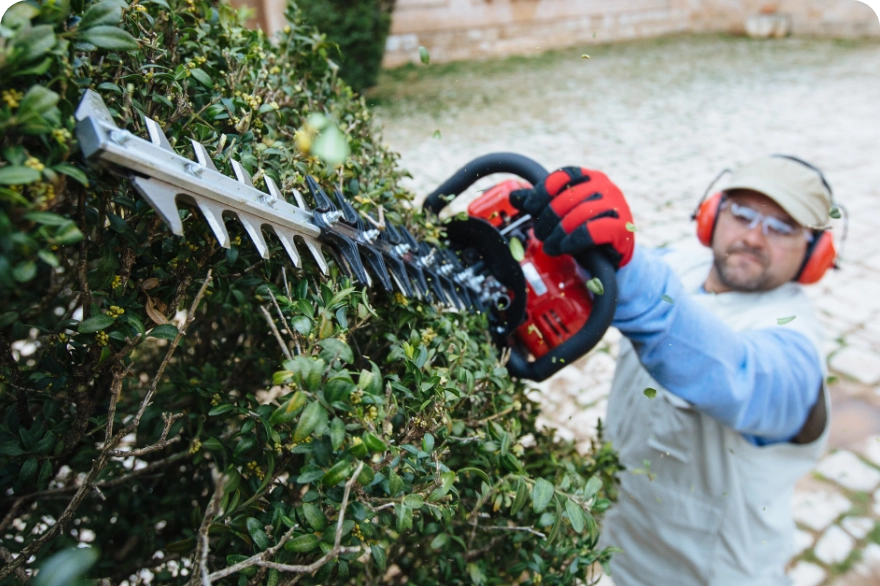Shindaiwa hedge trimmers