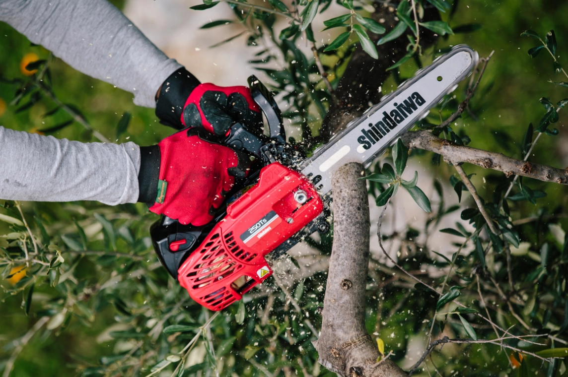 Shindaiwa professional outdoor power tool