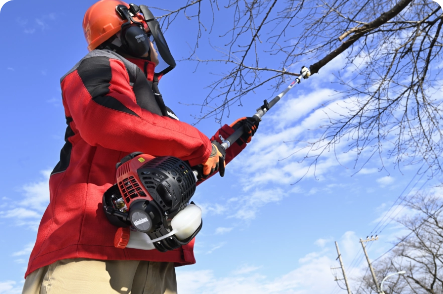 Shindaiwa pole pruners