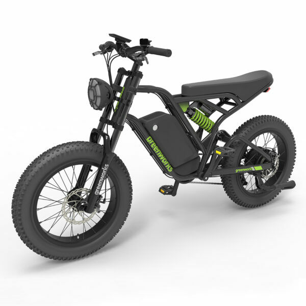 All Terrain E-Bike