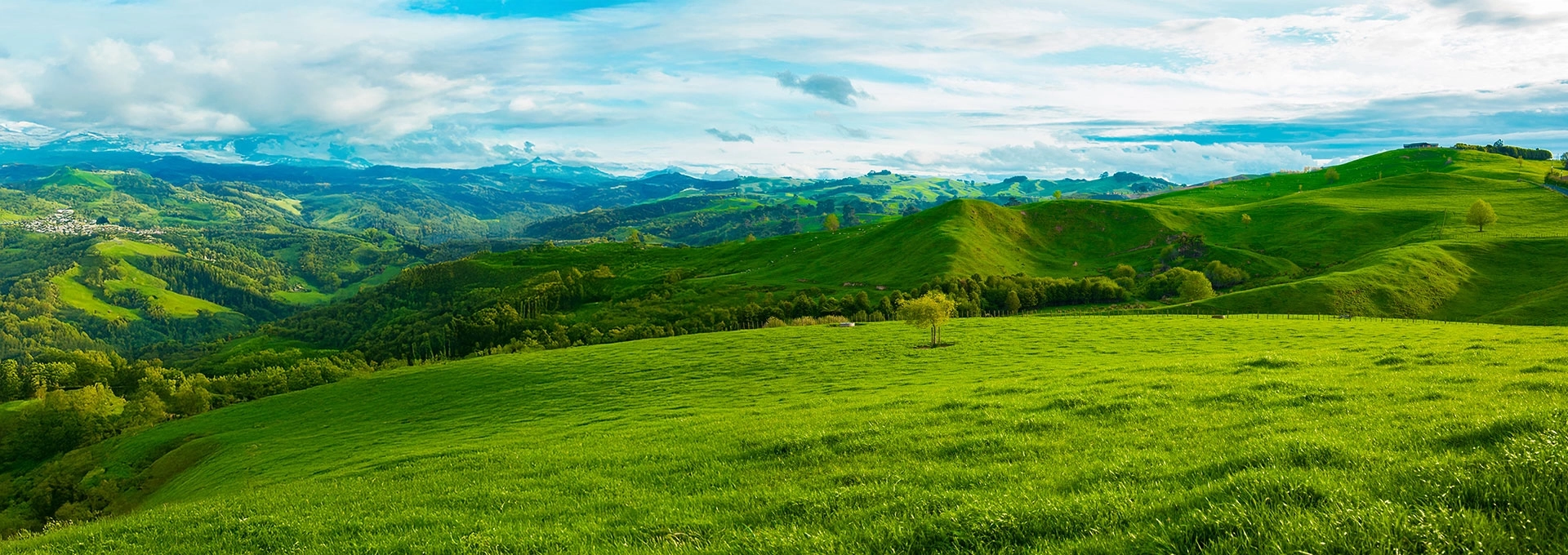 photo of landscape