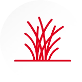 DESIGNED TO CUT FIRST PASS